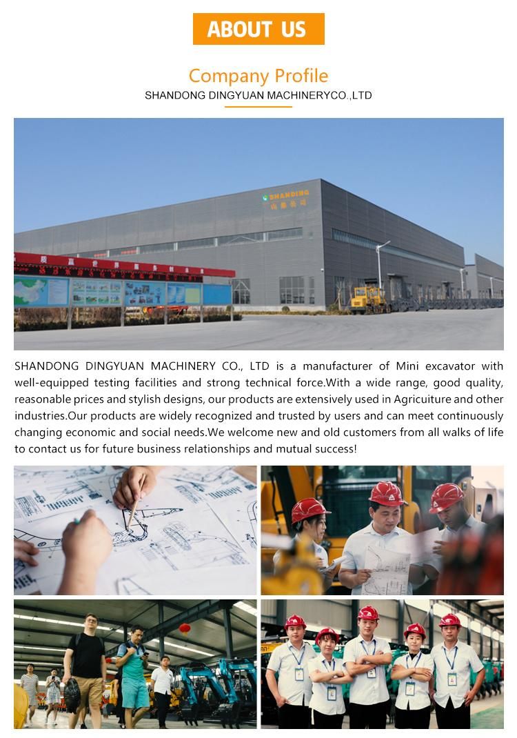 Shanding Excavators Hot Sale in Poland