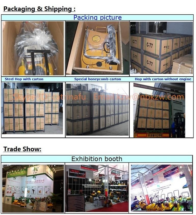 Vibrating Plate Compactor with 13.0kn (C-80, C-100)