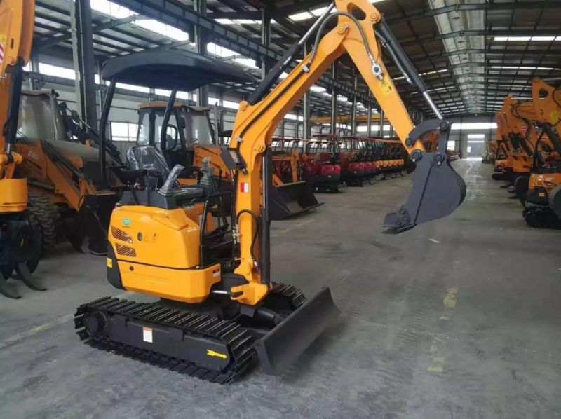 Home Garden Use Xn18 1800kgs Mini Excavators with Steel Track