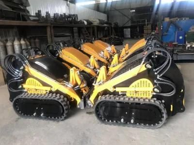 Ce Skid Steer Loader with B&S Engine. Mini Backhoe