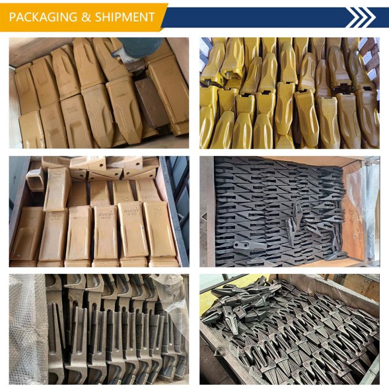 Construction Machinery Spare Parts Casting and Forging Steel Tooth for Crusher 3vk010