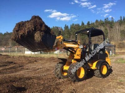 Haiqin Brand New Mini Loader (HQ906PRO) with Ce Certificate