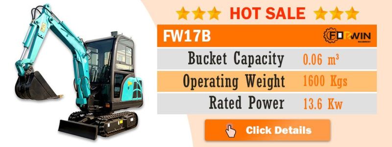 2.5 T Small Backhoe Digger Fw25b Mini Hydraulic Pump Rubber Crawler Track Excavators Cheap Price for Sale