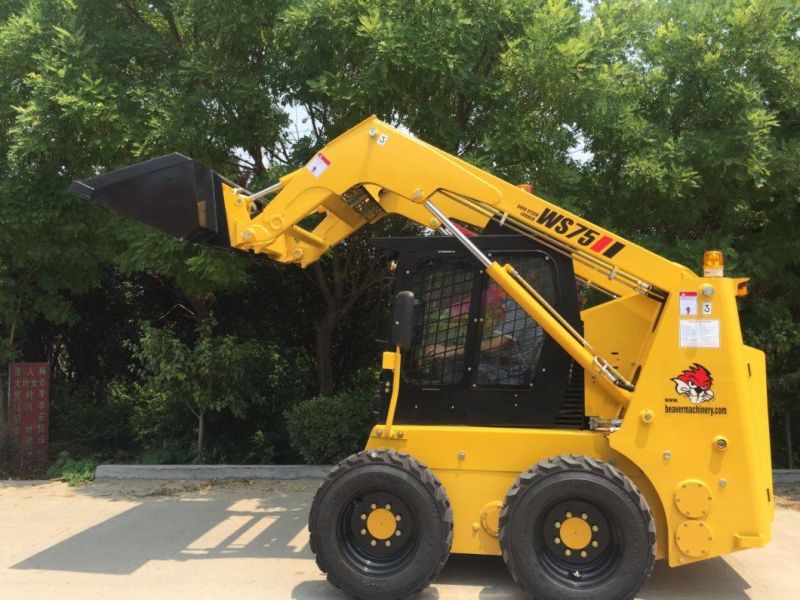 Taian Construction Skid Steer Loader with Diesel Engine for Sale