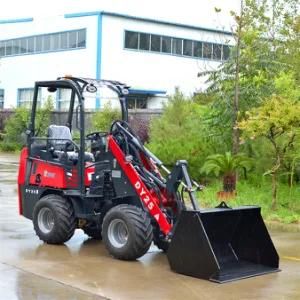 Small Multifunctional Wheel Loader Dy25 with Ce, Euro V Engine Hot Sale