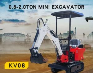 Used Freeing Shipping 0.8 Ton Mini Crawler Excavator China Famous Digger