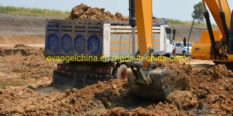 Liugong Medium-Sized Crawler Excavator 920e/Clg920e for Sale