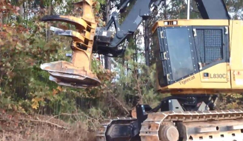 Logging Machinery Saw Tooth Mulcher Teeth HD002 (F452112)