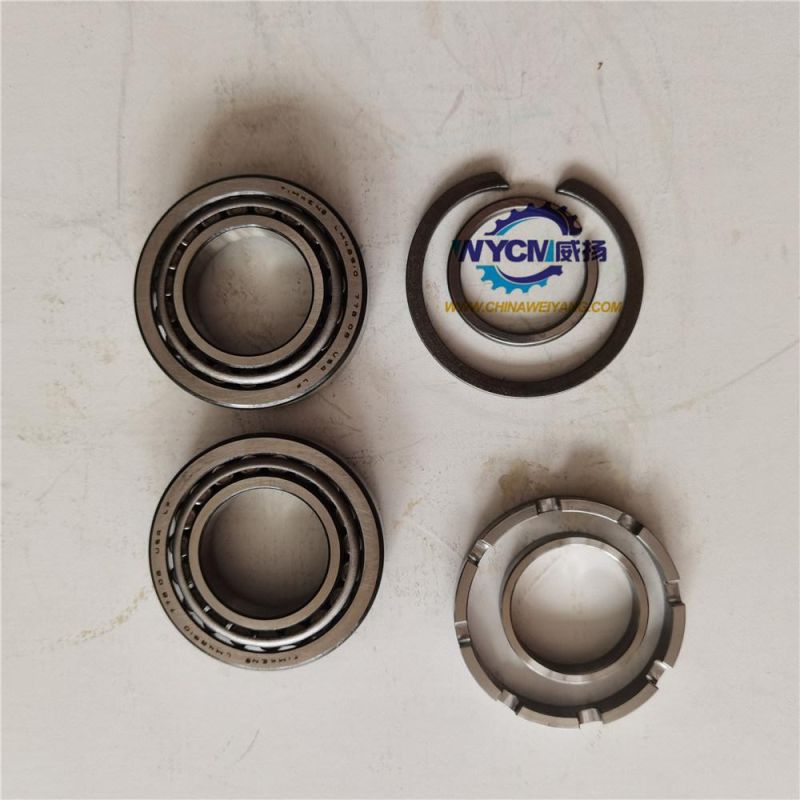 Cummins Engine Parts 3081164 Roller Bearing for Sale