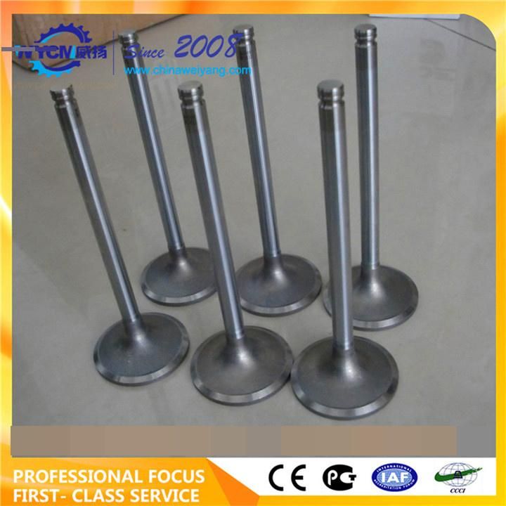 Engine Parts Inlet Valve 4110000081118 3924492 for Sale