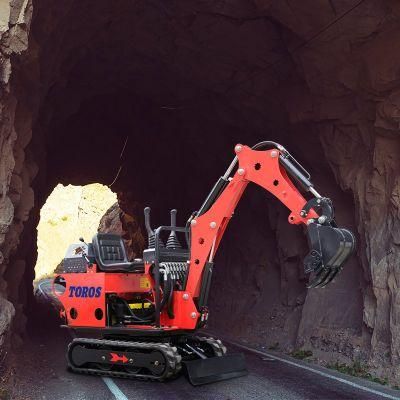 China Smallest Pelle Bager Digger Bagger 0.8 Ton Mini Excavator with Excavator Accessory Parts