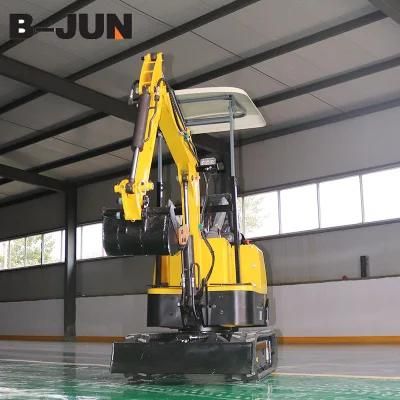 Made in China 1 Ton Mini Excavator Digger Smallest Mini Digger for Sale