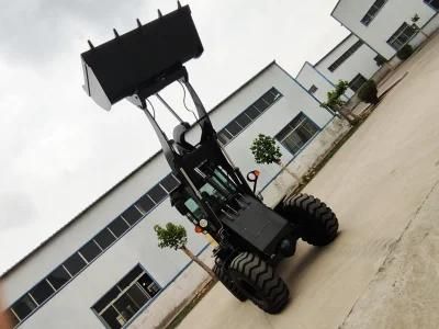 Ace Ns Hekate Payload L920 Equifax Wheel Loader with ISO and CE for Sell