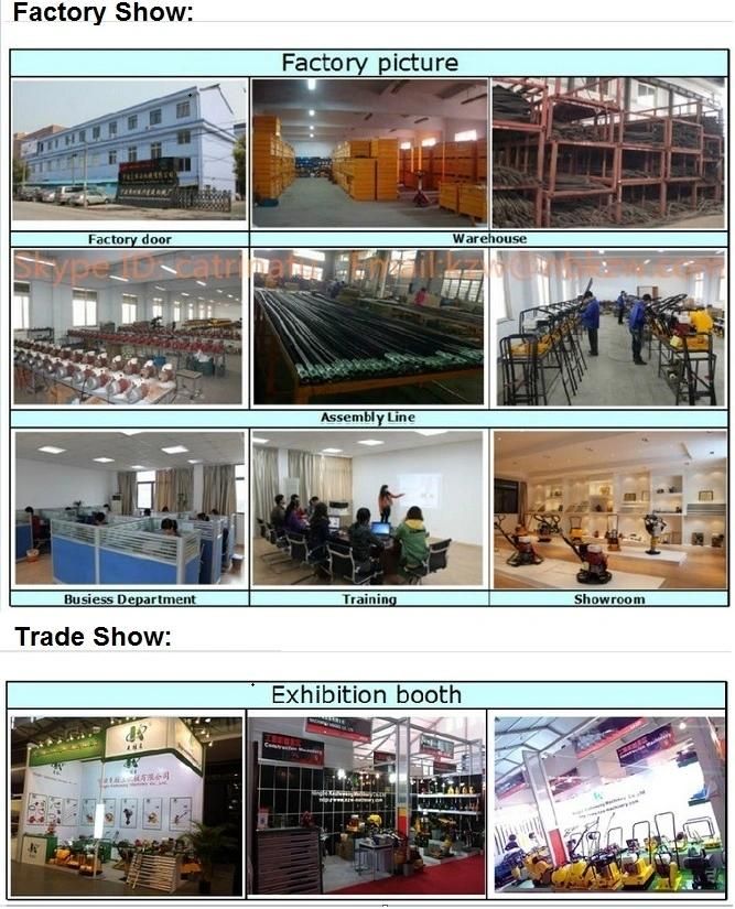China Suppliers Honda Gasoline Engine Vibrator Concrete Factory Custom