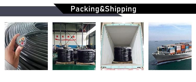 Professional Supplier Construction Lift Bending-Resistance Cable for Passenger Hoist