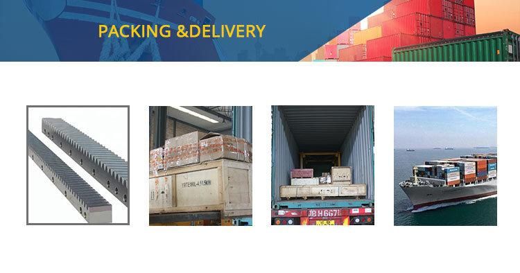 Small Order Accepted Passenger Hoist Rack