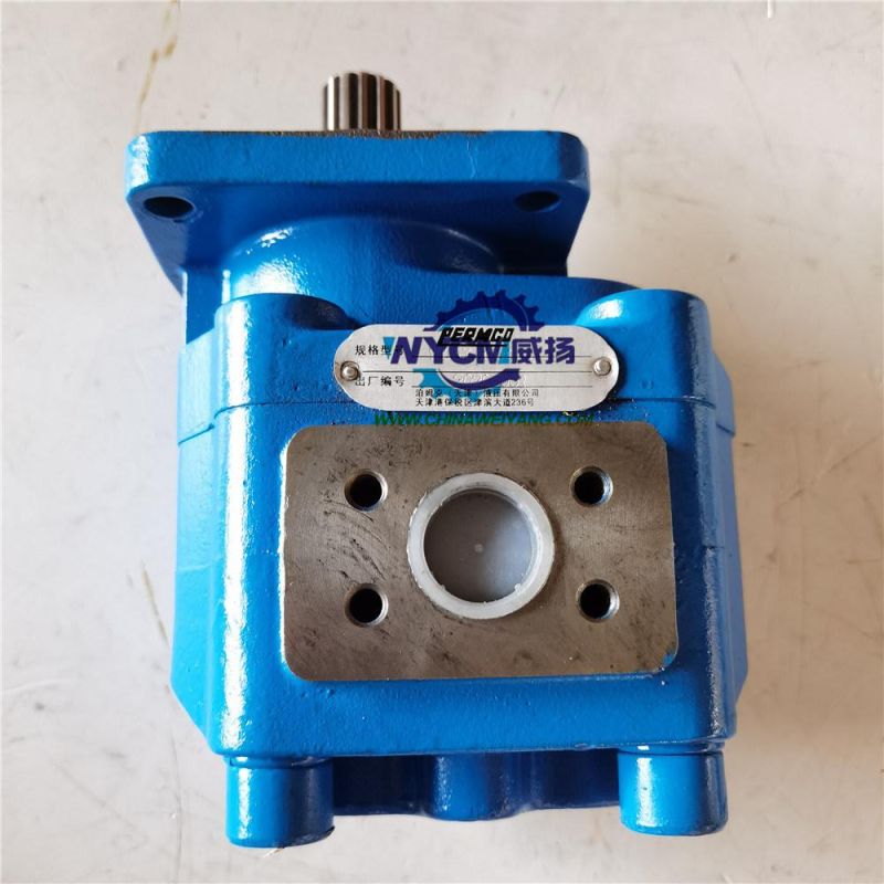 S E M 655D Wheel Loader Spare Parts W067400000b Gear Pump for Sale