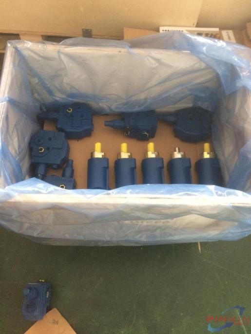 Hydraulic Spare Parts Parts Lt-05-Mka-31/130/02m/So14 R901185693 Electromagnetic Valve for Pump
