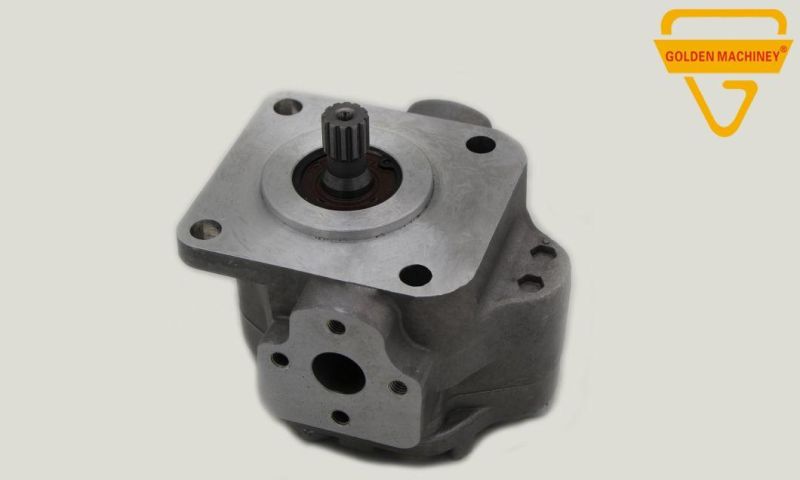 Gk Excavator Parts Hydraulic Pump Parts Gear Pump
