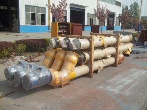 Screw Conveyor for Cement with Low Price Sale in Russia