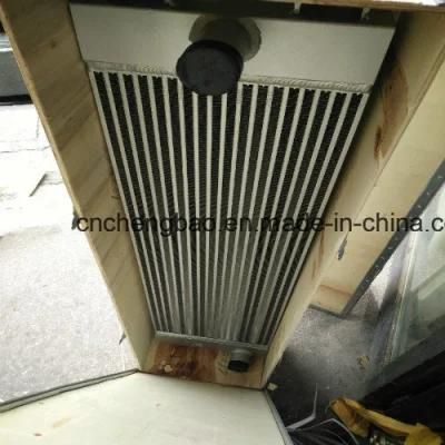 Wheel Loader Radiator for Sem Wheel Loader Parts( W219000200b W219000100b