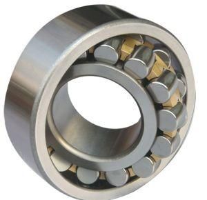 Double Row Self Aligning Roller Bearing
