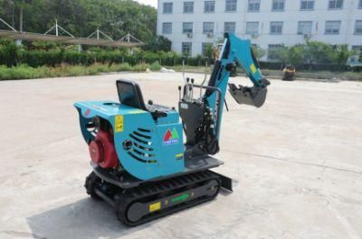 Smooth Operating Mini Excavator 0.7ton with Gasoline Engine for Cold District