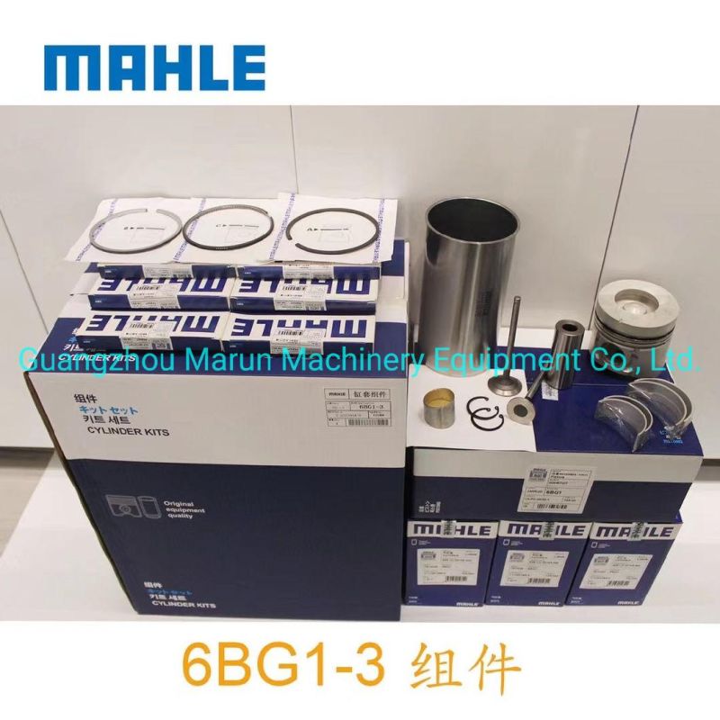 Genuine Mahle Manufacturer 1-11261385-0 6bg1 6bg1-3 6bg1-4 Cylinder Liner Kit for Isuzu Excavator Spare Parts