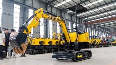 2021 New Product Small Mini Excavator with Boom Swing Euro 5 Engine for Sale