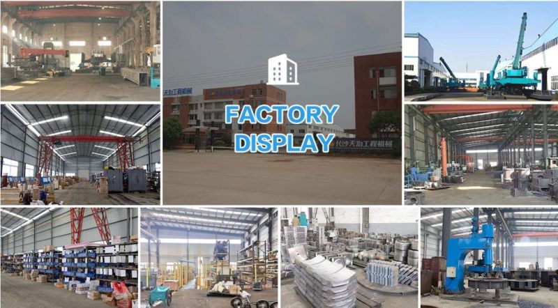 Drilling Rig Machine Bore Pile Punching Pile Driver for Boring Hole of Bridge Made in China