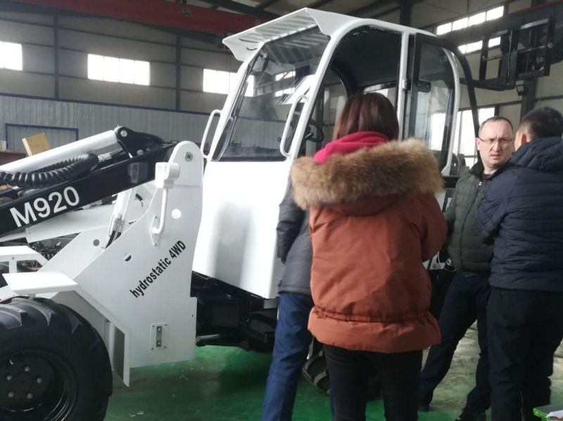 M910 New Multi-Function Europe Popular Ce Mini Loader