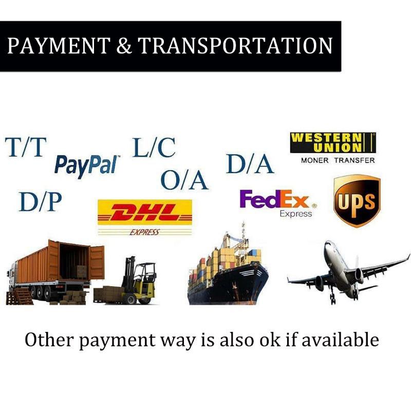 Heavy Equipment Undercarriage Parts for Sumitomo Excavator Sh200, Sh220, Sh280, Sh300, Ls2800