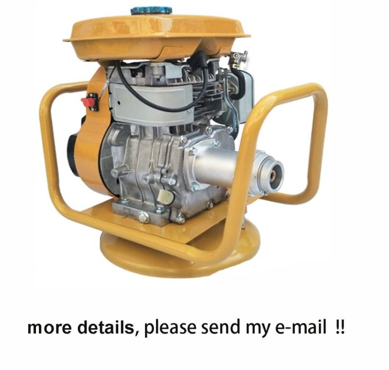 Hot Selling Gasoline Engine Gasoline Petrol Concrete Vibrator with Good Quality