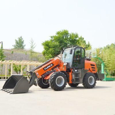 New Model Telescopic Loader Handlermini