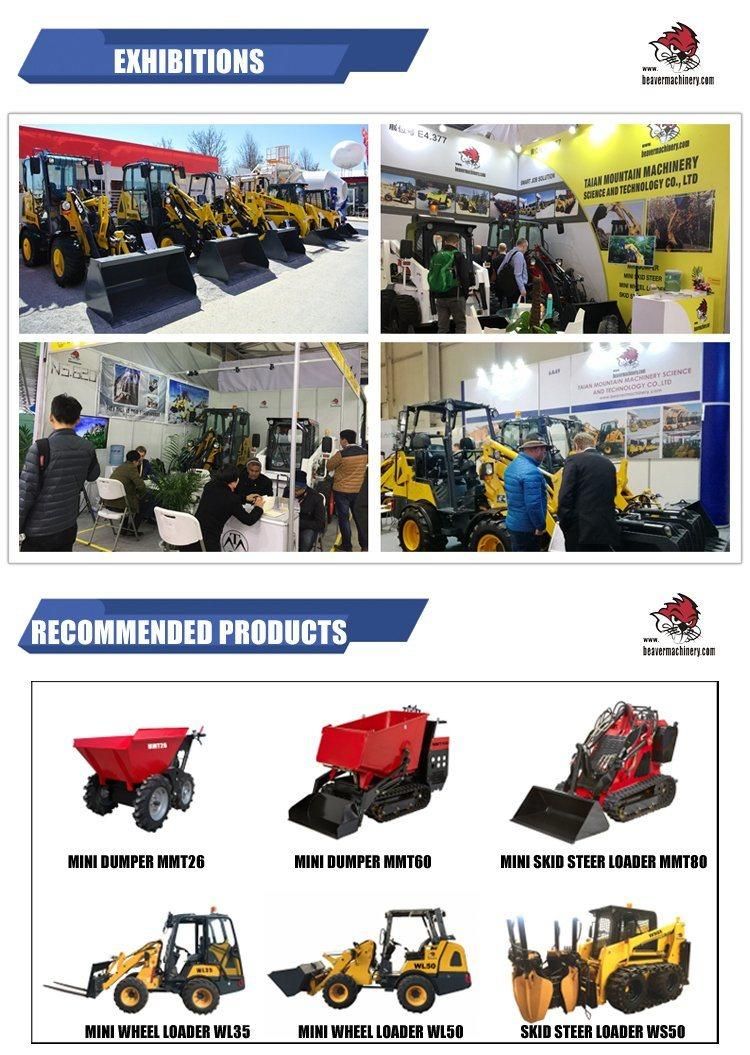 0.3cbm Bucket 800kg Load Rubber Track Crawler Mini Dumper