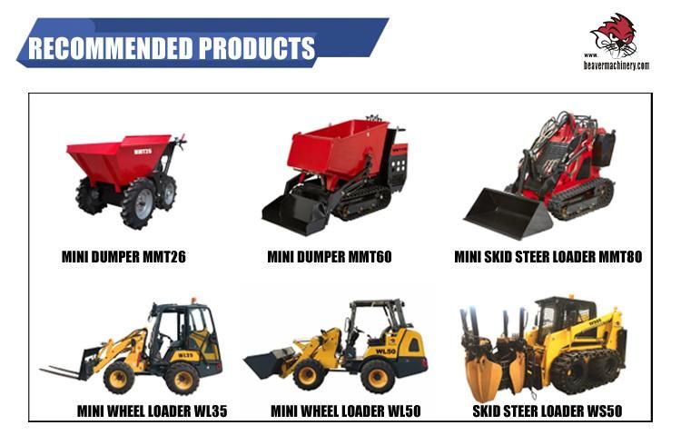 Small Wheel Hydraulic Loaders with Buckets Are on Sale