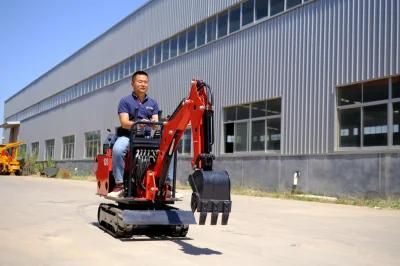 Shanding Brand 0.8ton Mini Excavators Free Shipping House Mini Diggers