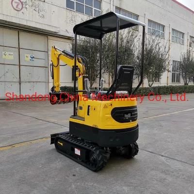 1ton Excavator Mini /RC Excavator for Sale