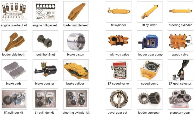 Bevel Gear Pinion (3050900203) for Sdlg LG936 Loader