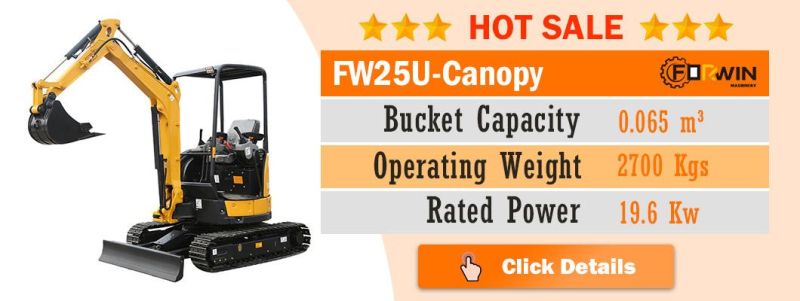 2 T Small Backhoe Digger Fw20u Mini Hydraulic Pump Rubber Crawler Track Excavators Cheap Price for Sale