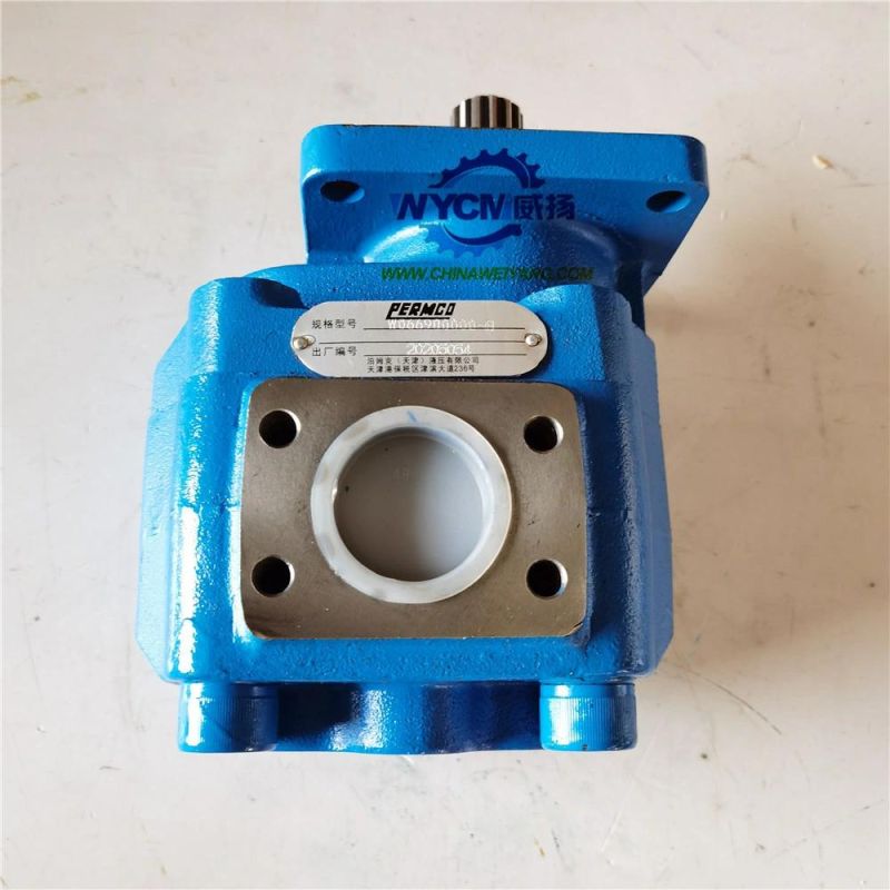 S E M 650b Wheel Loader Spare Parts W066900000b Hydraulic Gear Pump for Sale