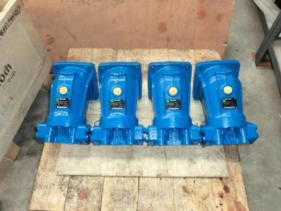 A2FM80 A2FM90 Hydraulic Piston Motor Pts for Hydr Pumps