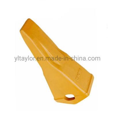 Hot Sale Casting Get Product Mimi Excavator Bucket Teeth 1u3252RC