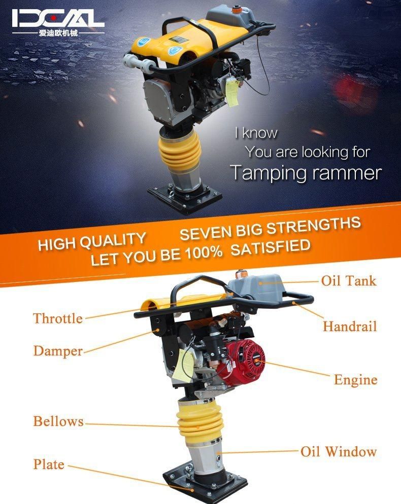 Wholesale Price Gasoline Engine Tamping Rammer