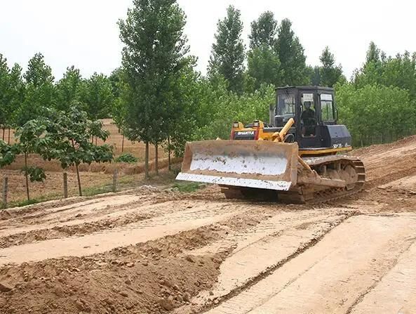 Shantui Brand Offer 20t Weight 200HP Bull Dozer