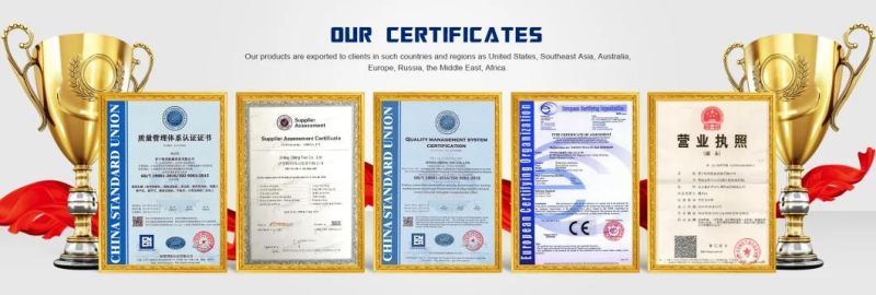 Chinese Mini Crawler Type Excavator with Ce Certificate