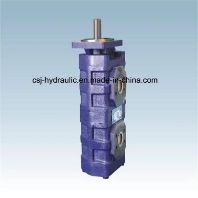 Wholesale Cbj2063/2050/2032 Double Gear Pump Factory Price
