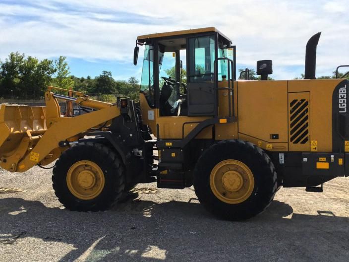 Hot Sale China 3 Ton Mini Wheel Loader with Front End Loader L936