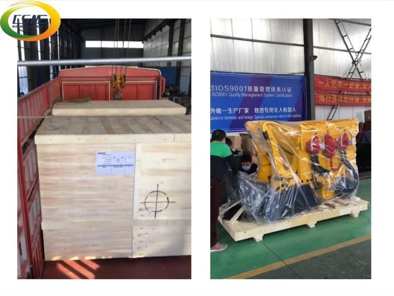 Good Quality Crawler Loader with Remote Control Can Be Customized