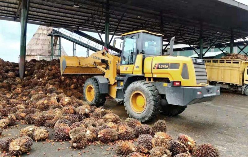 Lugong Factory Small Wheel Loader Compact Type LG930 with Log Grapple for Livestock Application